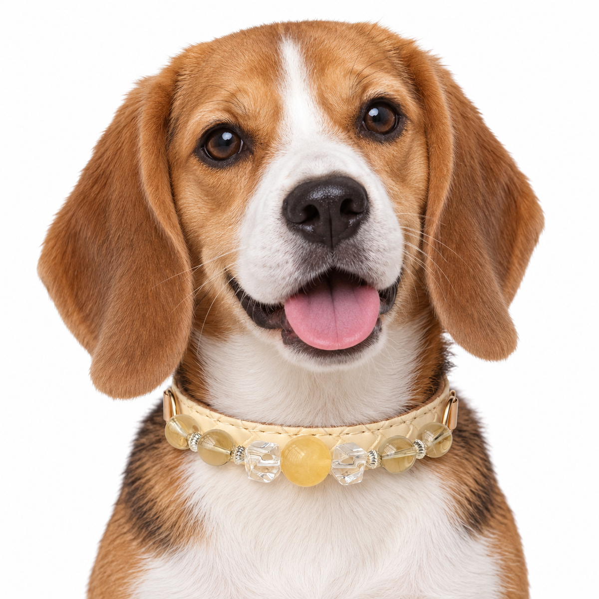 Lemon Prism Beaded Pet Collar - AI pet wearing styling illustration