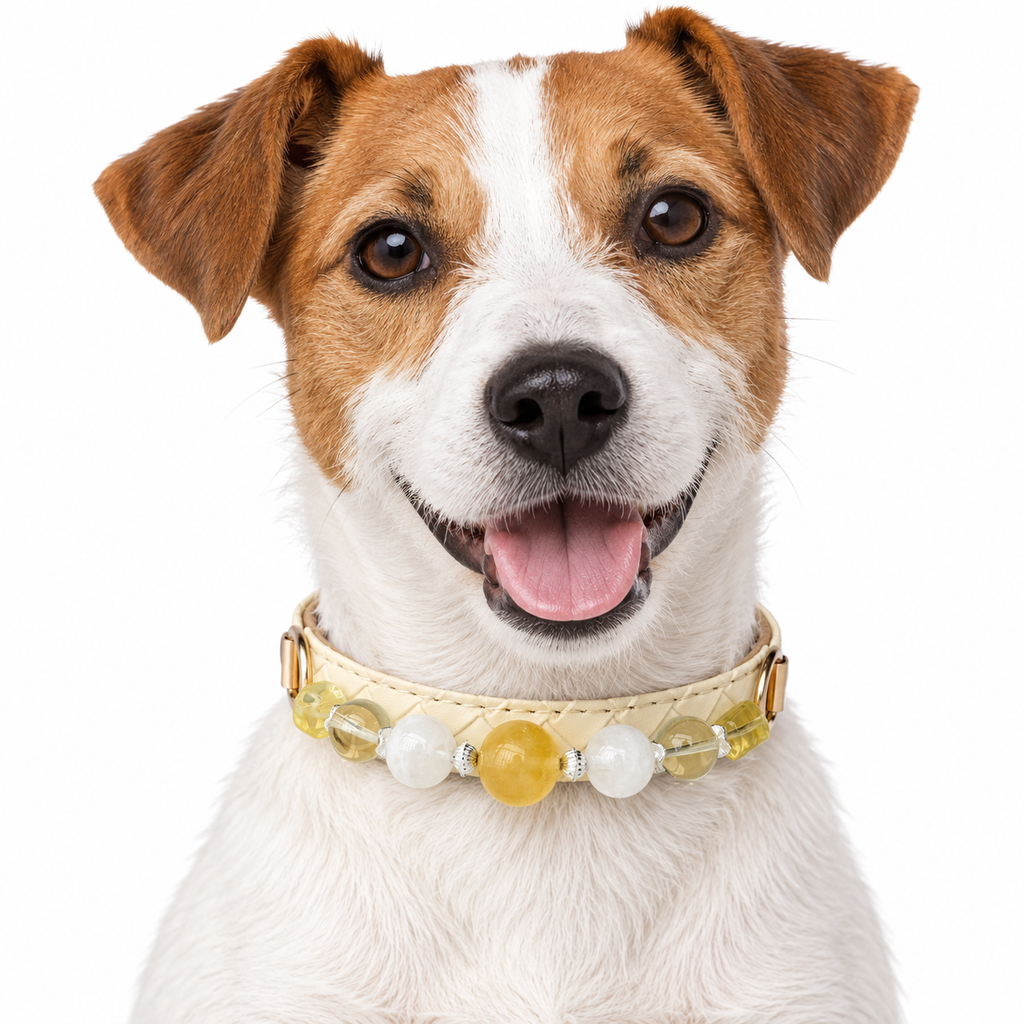 Lemon Snow Beaded Pet Collar - AI pet wearing styling illustration