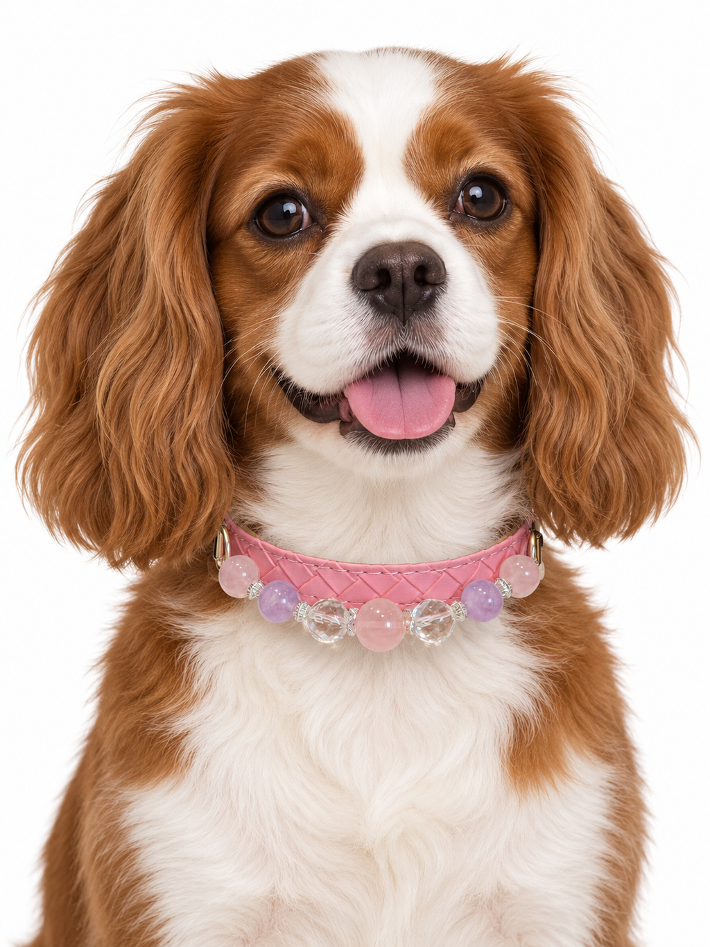 Lilac Blush Human & Pet Match — pet wearing the pet collar, AI styling illustration