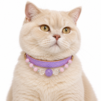 Lilac Clarity Human & Pet Match — cream cat wearing the pet collar, AI styling illustration