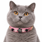 Midnight Blush Star Beaded Pet Collar - AI pet wearing styling illustration