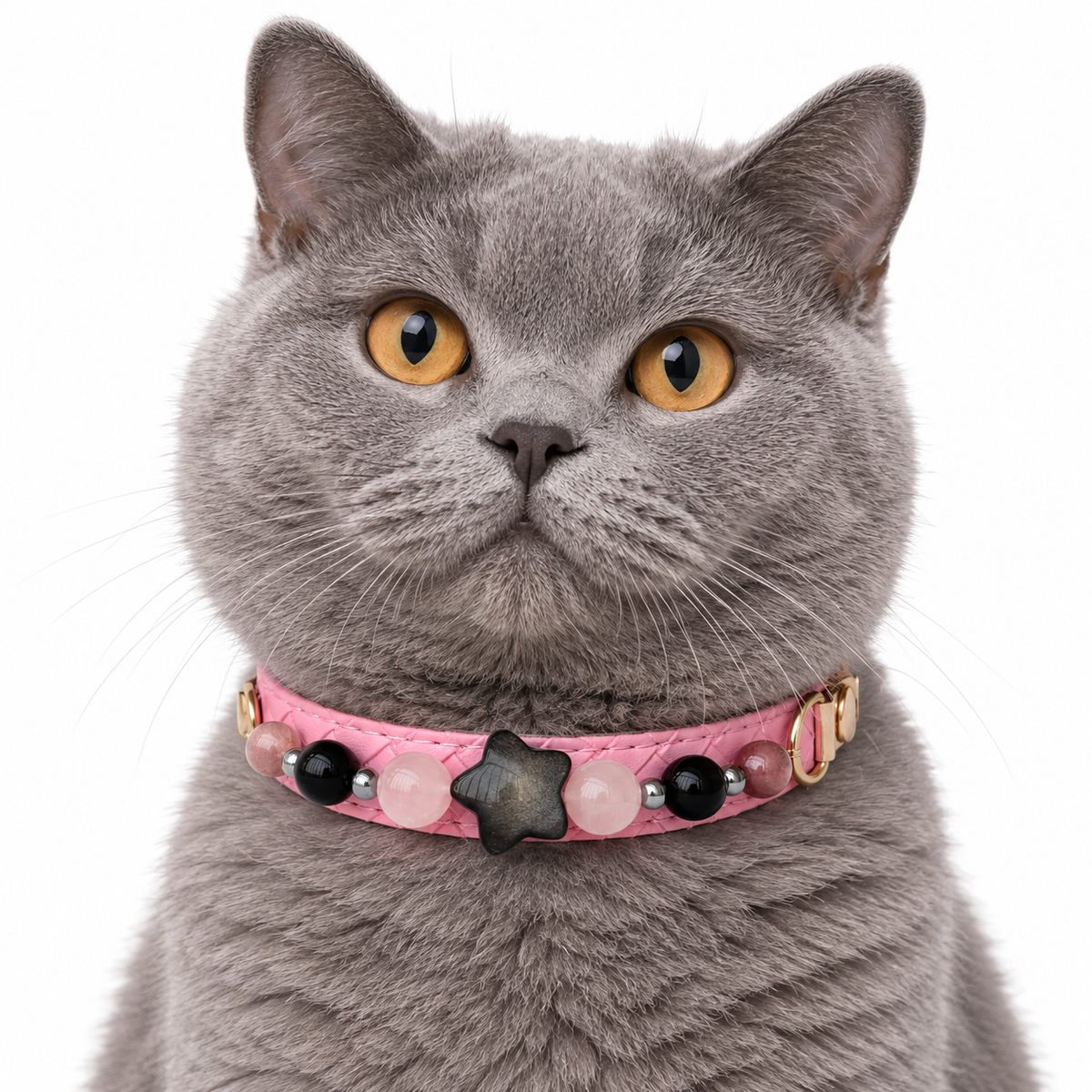 Midnight Blush Star Beaded Pet Collar - AI pet wearing styling illustration