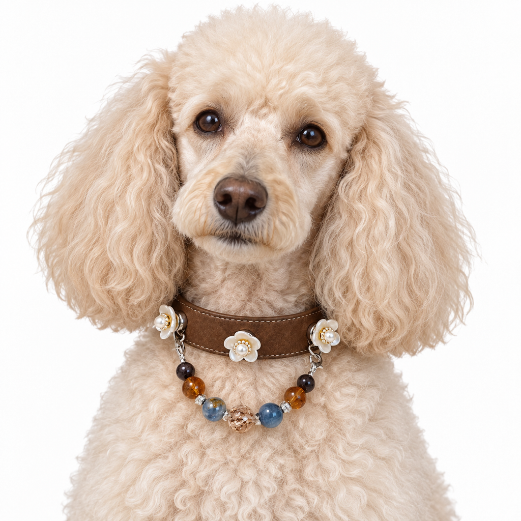 Midnight Ocean Human & Pet Match — cream poodle wearing the pet collar, AI styling illustration
