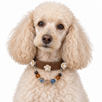 Midnight Ocean Human & Pet Match — cream poodle wearing the pet collar, AI styling illustration