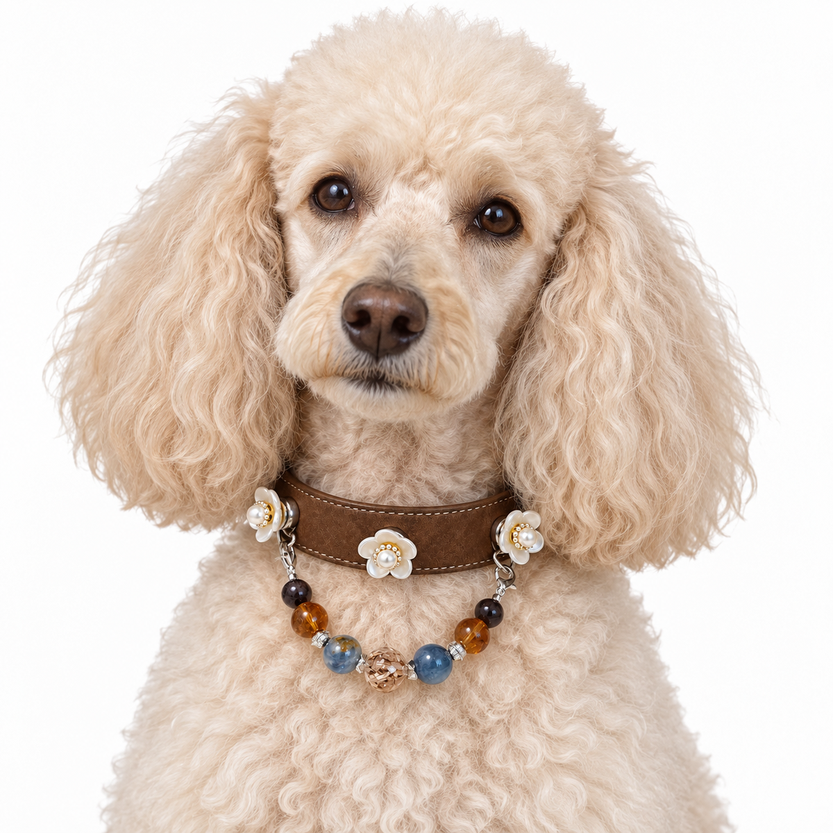 Midnight Ocean Human & Pet Match — cream poodle wearing the pet collar, AI styling illustration