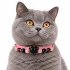 Midnight Rose Beaded Pet Collar - AI pet wearing styling illustration