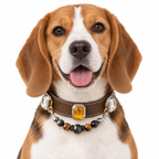 Midnight Tiger Facet Beaded Pet Collar - AI pet wearing styling illustration
