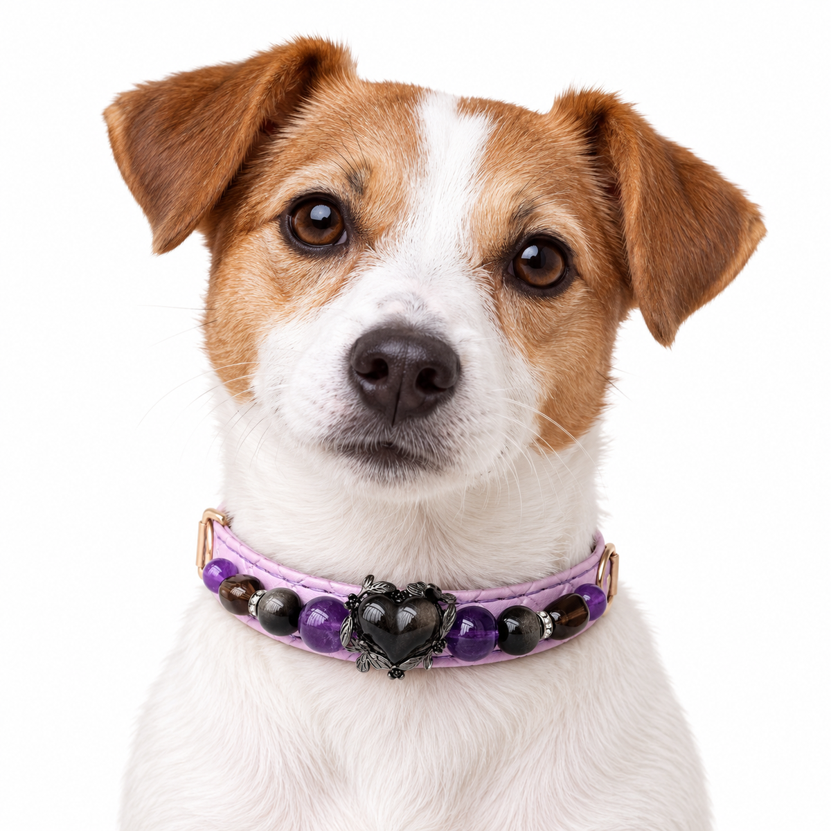 Midnight Violet Beaded Pet Collar - AI pet wearing styling illustration