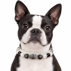 Monochrome Moon Beaded Pet Collar - AI pet wearing styling illustration