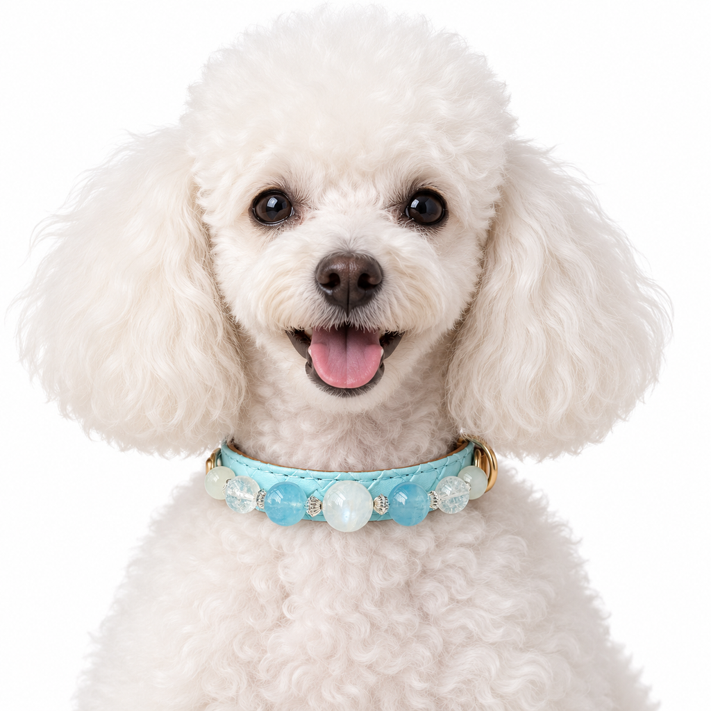 Moonlit Shore Beaded Pet Collar - AI pet wearing styling illustration