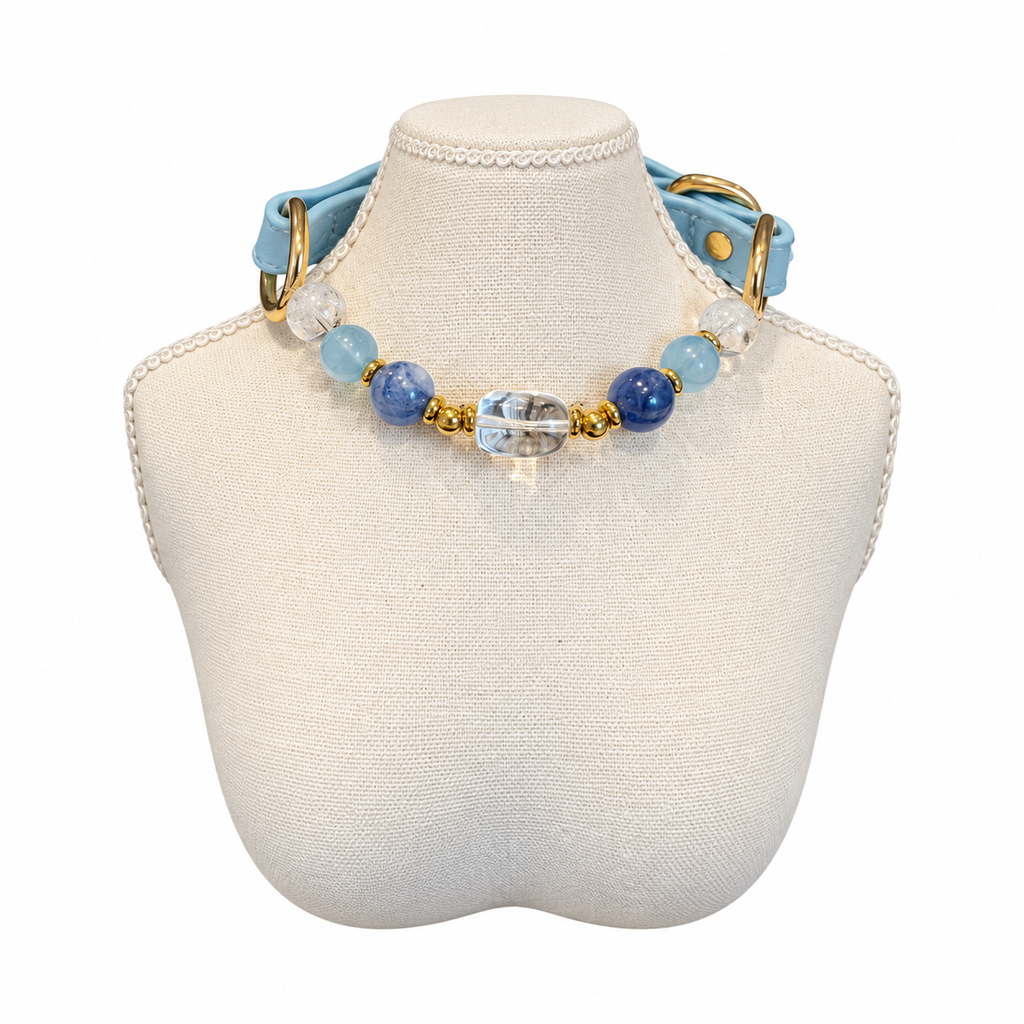 Ocean Clarity Human & Pet Match — pet collar
