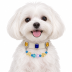 Ocean Raindrop Crest Beaded Pet Collar - AI pet wearing styling illustration