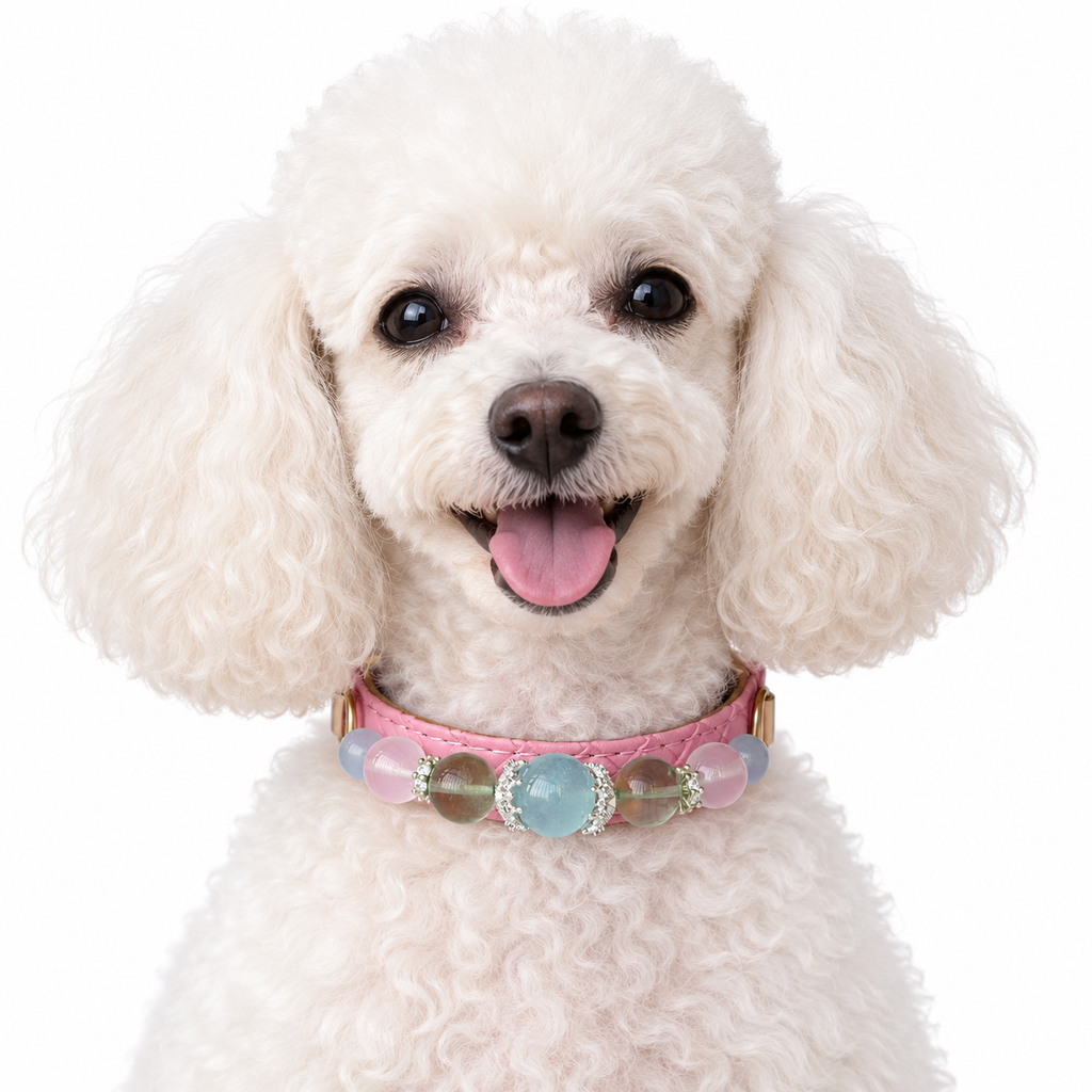 Pastel Crown Beaded Pet Collar - AI pet wearing styling illustration