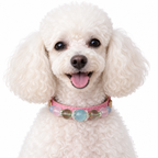 Pastel Crown Beaded Pet Collar - AI pet wearing styling illustration