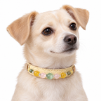 Pastel Meadow Crystal Pet Collar — AI pet wearing illustration; refer to size guide