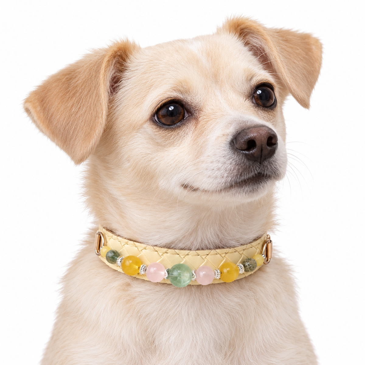 Pastel Meadow Crystal Pet Collar — AI pet wearing illustration; refer to size guide