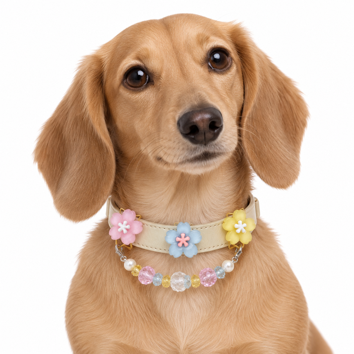Pastel Prism Blossom Beaded Pet Collar - AI pet wearing styling illustration