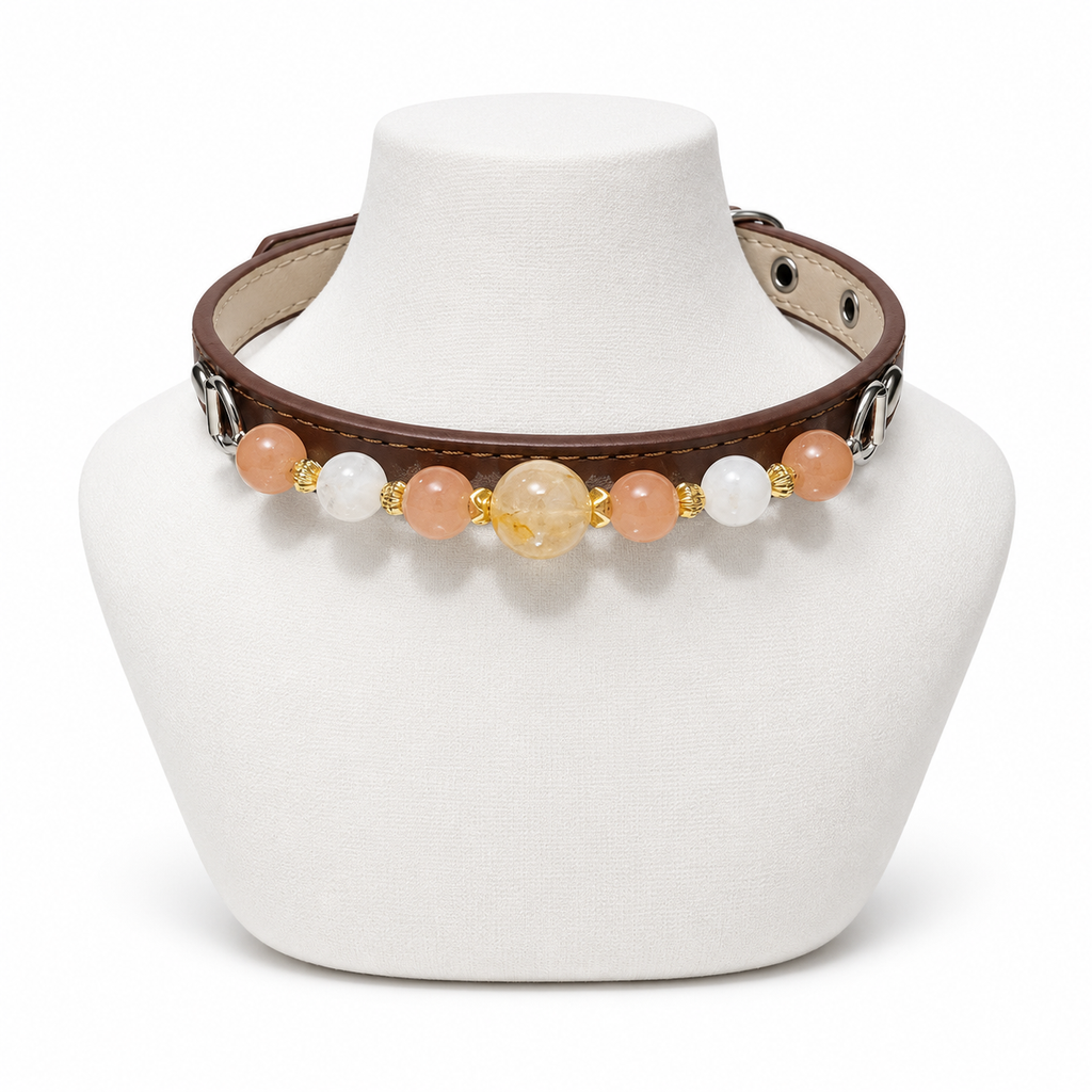 Peach Snow Human & Pet Match — pet collar
