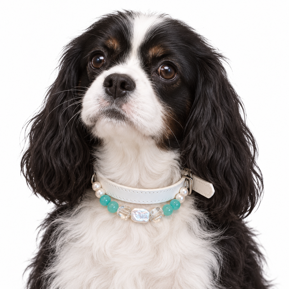 Pearl Coast Human & Pet Match — pet wearing the pet collar, AI styling illustration