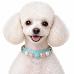 Pearl Tiara Beaded Pet Collar - AI pet wearing styling illustration