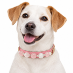Pink Snow Beaded Pet Collar - AI pet wearing styling illustration