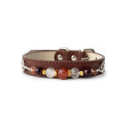 Autumn Ember Beaded Pet Collar - front view