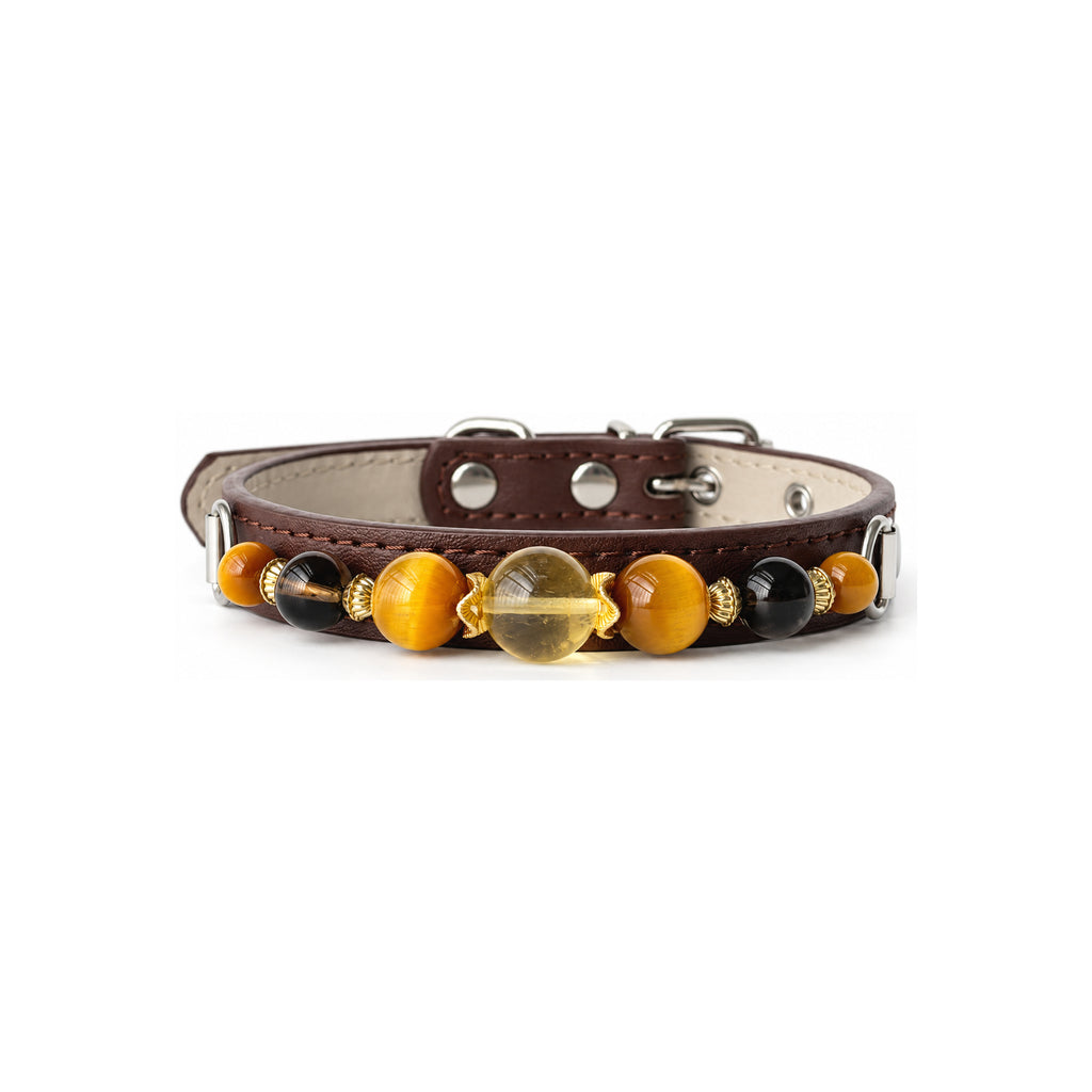 Golden Halo Beaded Pet Collar - front view