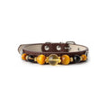 Golden Halo Beaded Pet Collar - front view