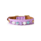 Lilac Sky Beaded Pet Collar - front view