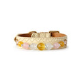 Golden Blush Beaded Pet Collar - front view