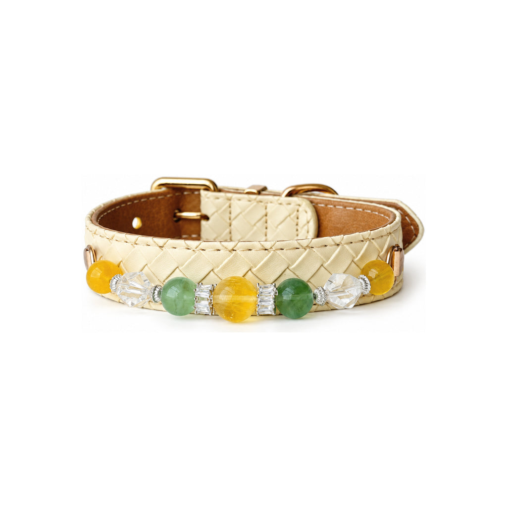 Citrus Garden Beaded Pet Collar - front view