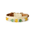 Citrus Garden Beaded Pet Collar - front view