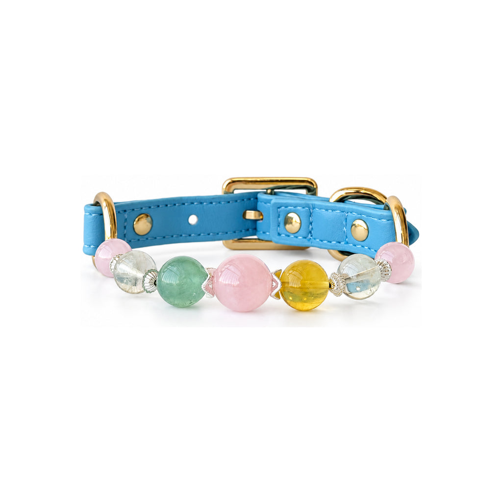 Spring Arc Beaded Pet Collar - front view