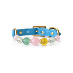 Spring Arc Beaded Pet Collar - front view