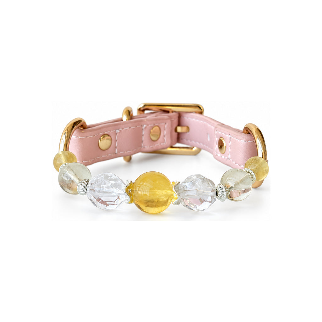 Golden Arc Beaded Pet Collar - front view