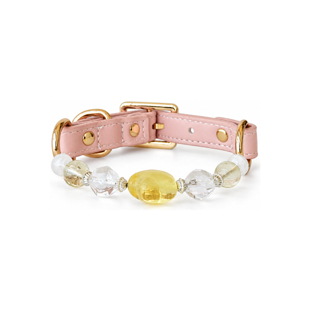 Golden Star Beaded Pet Collar - front view