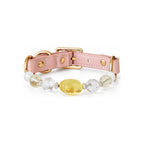 Golden Star Beaded Pet Collar - front view