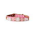 Blush Crown Beaded Pet Collar - front view