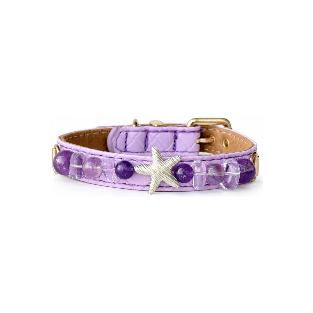 Violet Starfish Beaded Pet Collar - front view