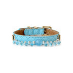 Aqua Dewdrop Beaded Pet Collar - front view