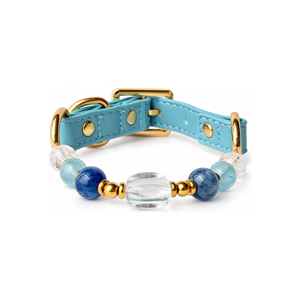 Aqua Clarity Arc Beaded Pet Collar - front view