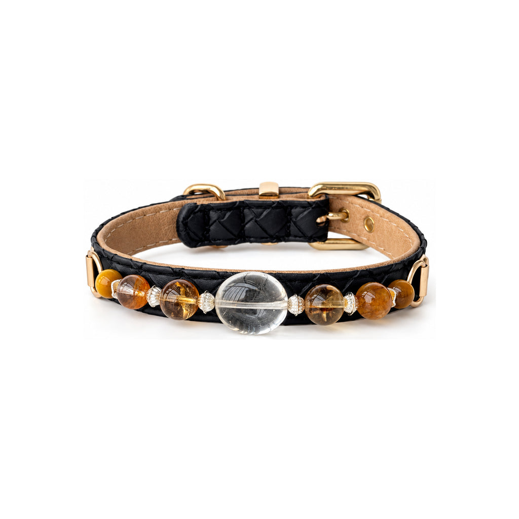 Golden Clarity Beaded Pet Collar - front view