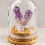 Stone cluster display dome — purple detail