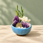 Pisces mini stone garden DIY kit — assembled display example