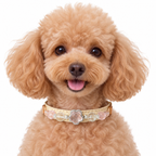 Rose Blossom Crest Beaded Pet Collar - AI pet wearing styling illustration