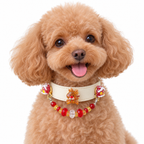 Scarlet Reindeer Cream Beaded Pet Collar - AI pet wearing styling illustration