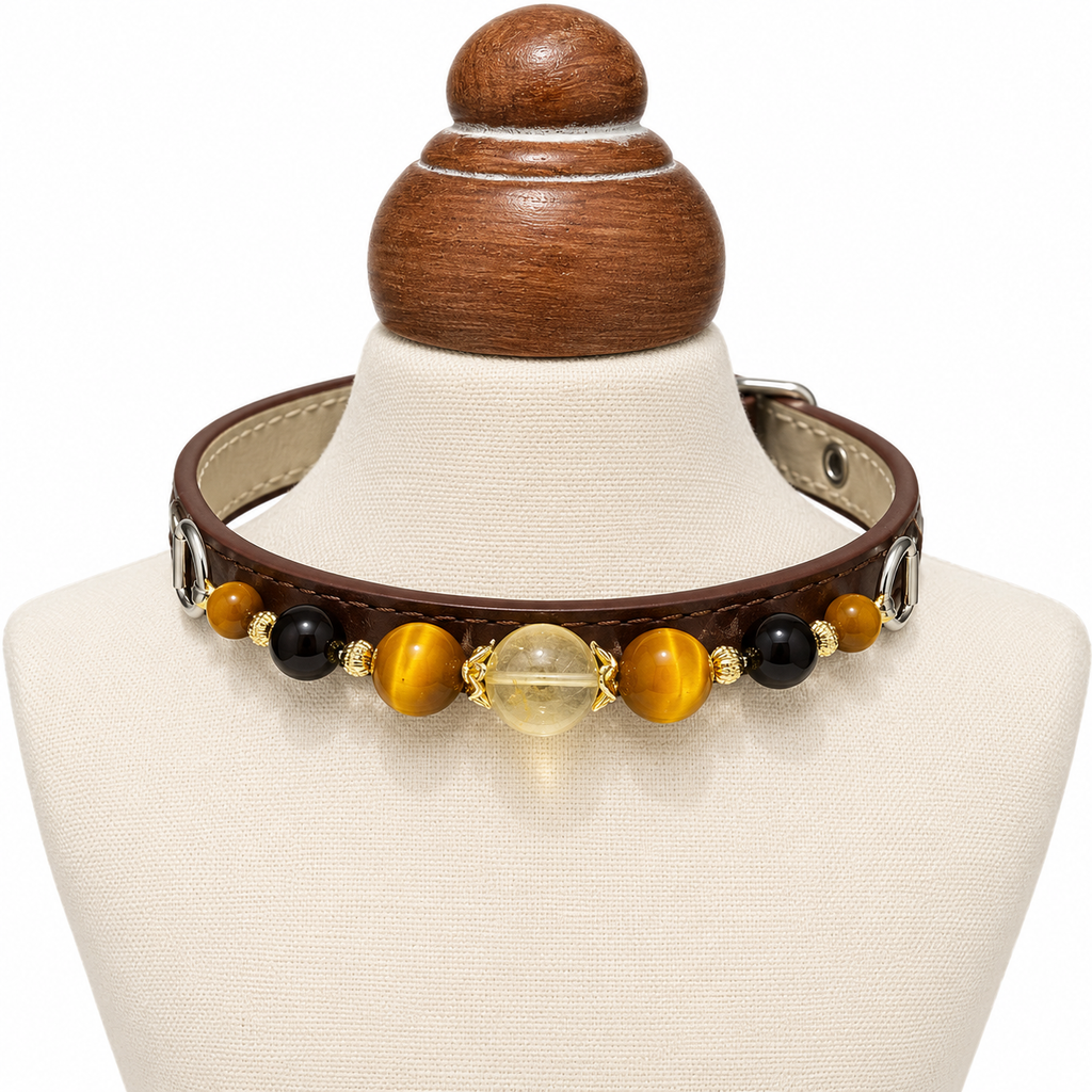 Smoky Gold Human & Pet Match — pet collar