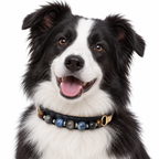 Storm Blue Beaded Pet Collar - AI pet wearing styling illustration