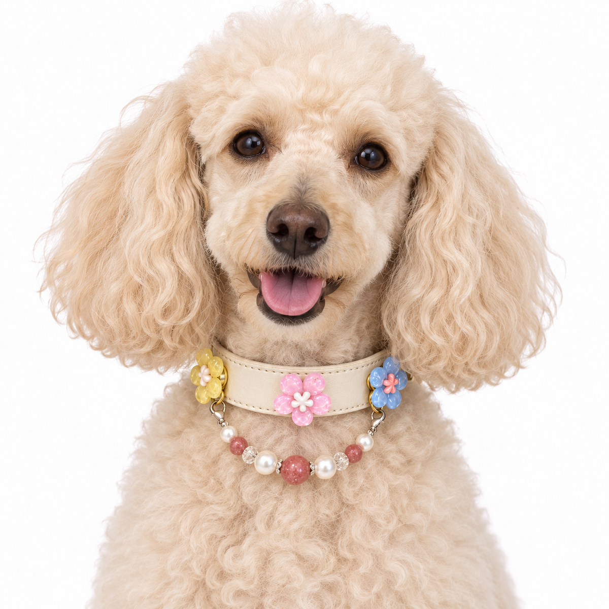 Strawberry Pearl Human & Pet Match — cream poodle wearing the pet collar, AI styling illustration