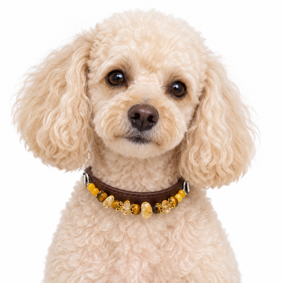 Tiger Glow Human & Pet Match — dog wearing the pet collar, AI styling illustration